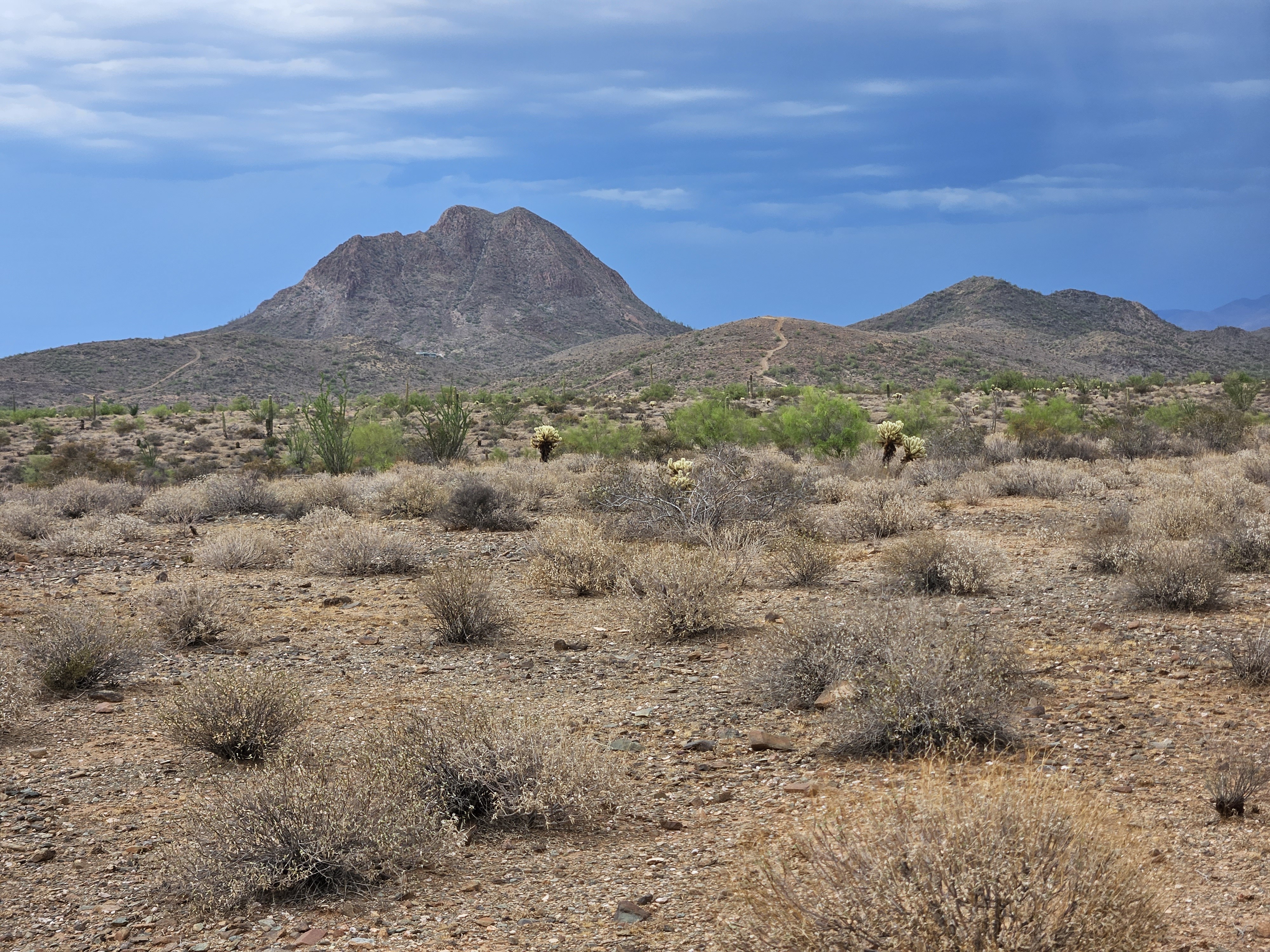 Daisy Mountain, copper granite peak above Anthem, Arizona